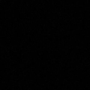 Meet your Posher, Nyla